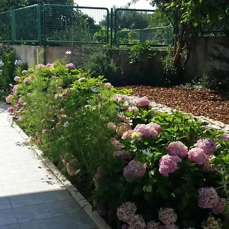 Apartman Ivica - Three Bedroom With Terrace *